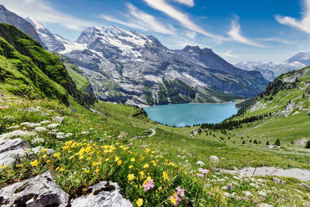 Beautiful view on the Oeschinensee in Switzerland on a sunny summer day with a lot of mountain flowers in front
