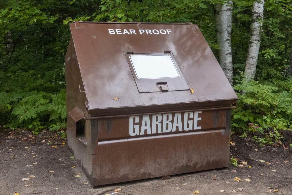 Brown metal bear-proof garbage dumpster in a forest campground.
