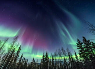 Nebesni pojav, viden tudi v Sloveniji, že tisočletja buri duhove Northern Lights rising over tree line in sync, like a reflection