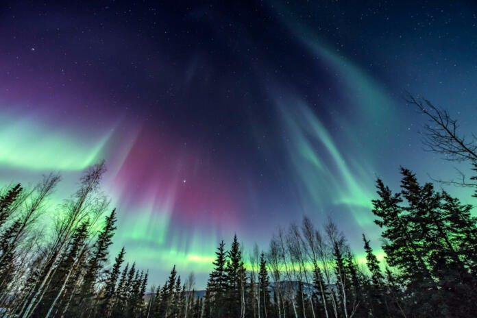 Northern Lights rising over tree line in sync, like a reflection