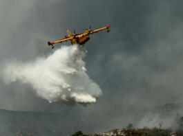 Summer arrives and with it the terrible fires that hit this land.