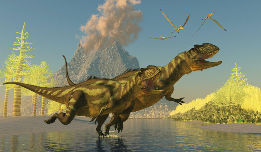 Two Yangchuanosaurus dinosaurs splash across a stream as a volcano erupts with smoke and ash.