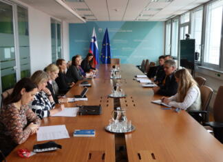 Kaj smo izvedeli iz prvega dne delovne skupine za medvrstniško nasilje? Delovna skupina za preučitev stanja učinkovitosti obravnave primerov vseh vrst nasilja na sestanku.