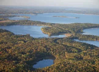 Kar polovica svetovnih jezer izgublja vodo Aerial view of lakes and trees in autumn color near Brainerd Minnesota