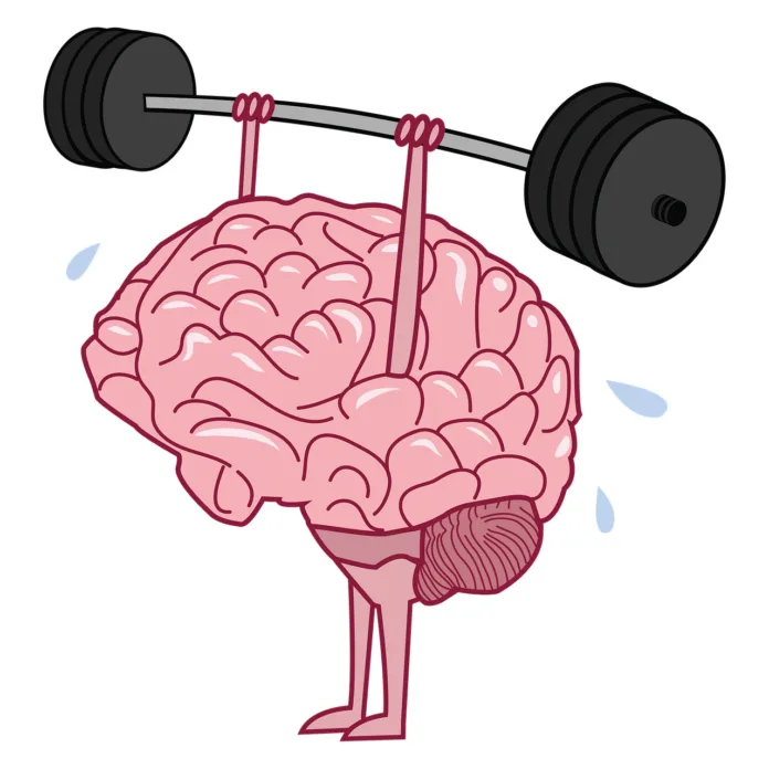 brain, exercise, training