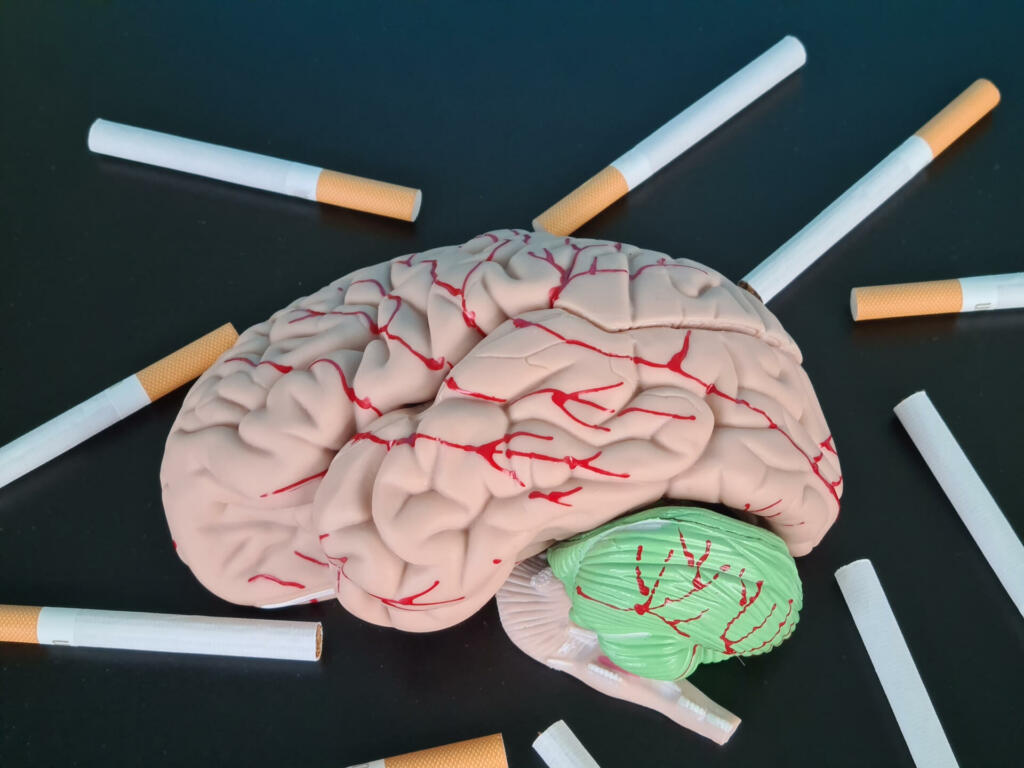 Brains and cigarettes on a black background. Smoking harm concept