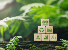 Circular economy concept.wooden cubes with a Circular economy icon on a green background. circular economy for future growth of business and design to reuse and renewable material resources.
