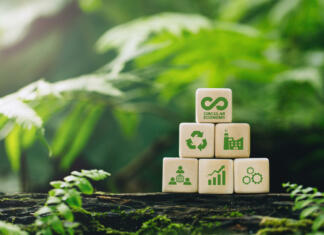 Circular economy concept.wooden cubes with a Circular economy icon on a green background. circular economy for future growth of business and design to reuse and renewable material resources.