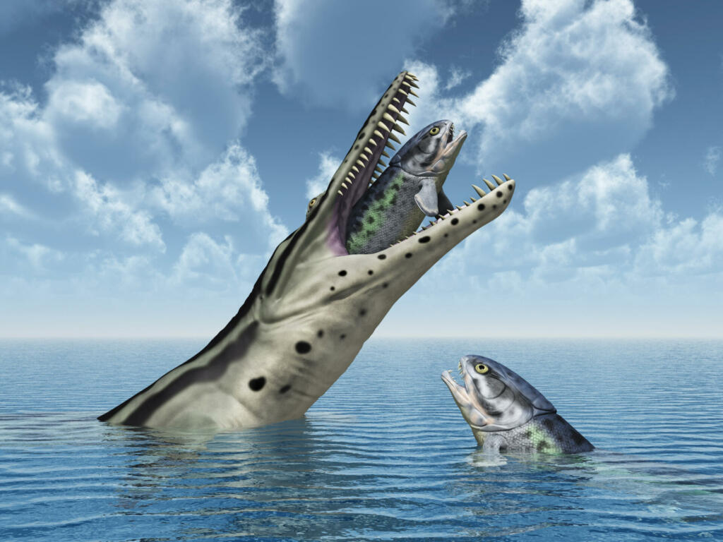 Computer generated 3D illustration with the extinct pliosaur Kronosaurus attacking the extinct fish Rhizodus