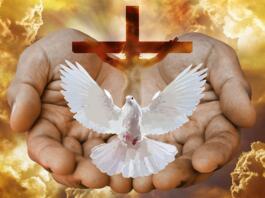 dove, cross, hands