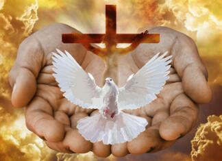 dove, cross, hands