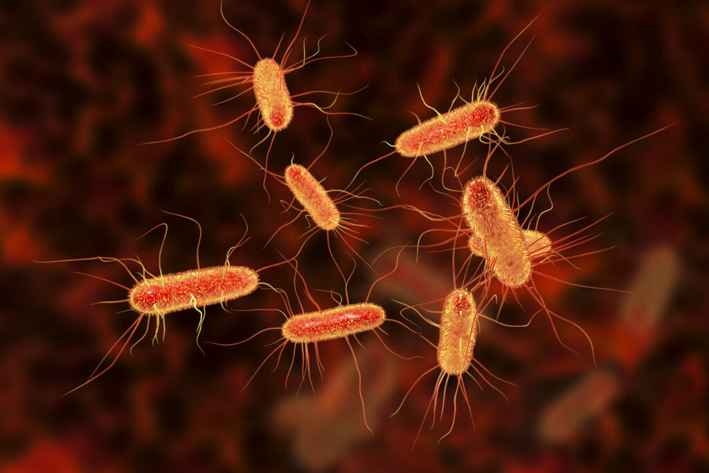 Escherichia coli bacterium, E.coli, gram-negative rod-shaped bacteria, part of intestinal normal flora and causative agent of diarrhea and inflammations of different location, 3D illustration