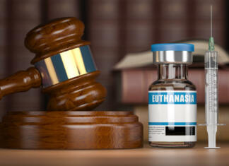 Elon Musk se je kritično odzval na nov zakon o evtanaziji Euthanasia concept. Gavel as a symbol of legal system vith vial and syringe. 3d illustration