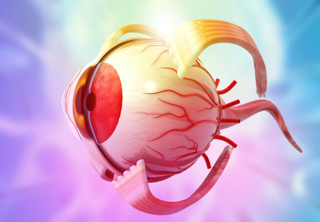 Human eye anatomy on beautiful background. 3d illustration