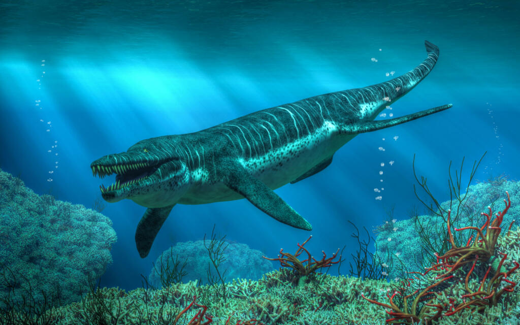 Kronosaurus was a marine reptile that lived in the ocean during the early Cretaceous period when dinosaurs roamed the land. It is a type of pliosaur. 3D Rendering