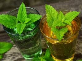 lemon balm, balm, herbs