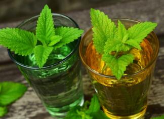 Bezgov in melisin sok: kako sam pripraviš osvežilna napitka? lemon balm, balm, herbs
