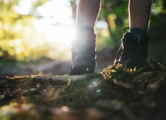 Pohodi v gore – katere čevlje izbrati, da boste poskrbeli za udobje in varnost med hojo Low angle view of childs legs wearing hiking shoes walking uphill lit by a glowing sun coming through the trees.
