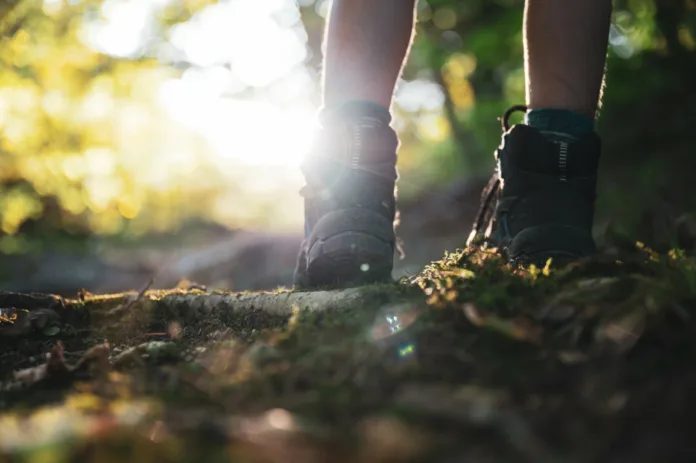 Low angle view of childs legs wearing hiking shoes walking uphill lit by a glowing sun coming through the trees.
