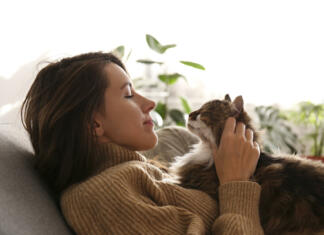 Zakaj mačke predejo? Portrait of young woman holding cute siberian cat with green eyes. Female hugging her cute long hair kitty. Background, copy space, close up. Adorable domestic pet concept.