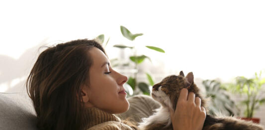 Portrait of young woman holding cute siberian cat with green eyes. Female hugging her cute long hair kitty. Background, copy space, close up. Adorable domestic pet concept.