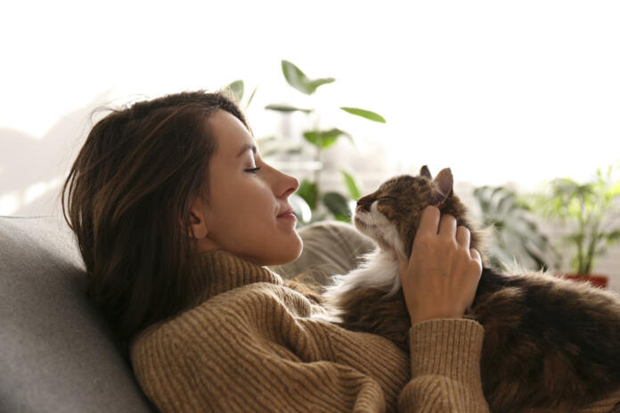 Portrait of young woman holding cute siberian cat with green eyes. Female hugging her cute long hair kitty. Background, copy space, close up. Adorable domestic pet concept.