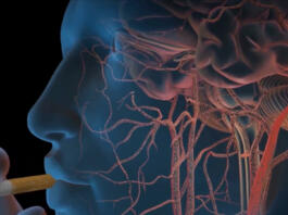 Smoking man, its effects on the brain 3D illustration