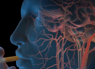 Kajenje je še bolj škodljivo, kot smo mislili Smoking man, its effects on the brain 3D illustration