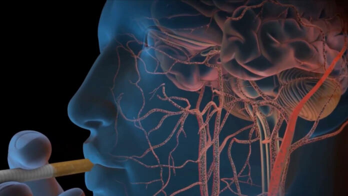 Smoking man, its effects on the brain 3D illustration
