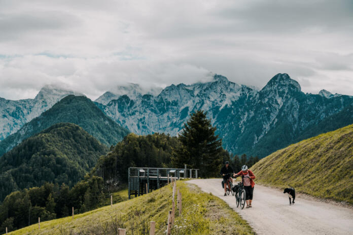 Summer alpine countryside landscape with high mountains and farms in the forest glade. Logar valley (Logarska Dolina) from the panoramic road, Solcava, Slovenia