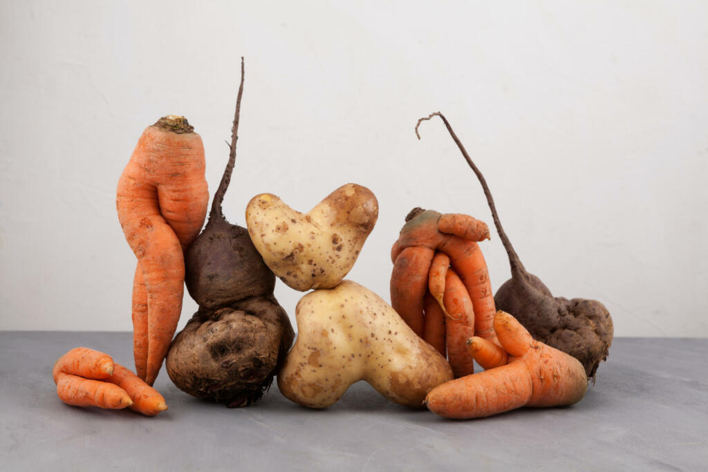 Ugly vegetables, side view, close-up. Concept - Food organic waste reduction. Using in cooking imperfect products.