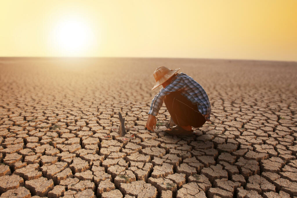 Young man sitting on dry cracked earth with dead tree. Drought and agriculture and deforestation concept.