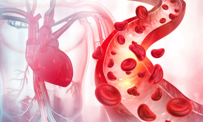 Blood cells in an artery. 3d illustration