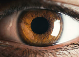 Iluzija nastane v očeh, ne v možganih Oko