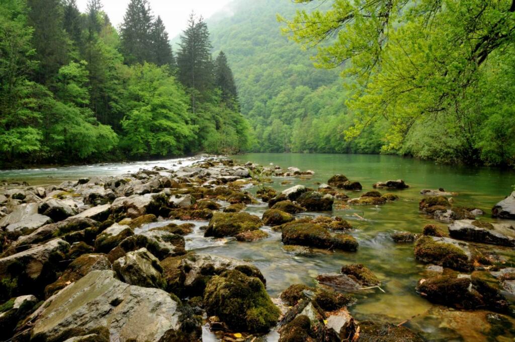 Kopališče ob domačiji Lobič Malenca.
