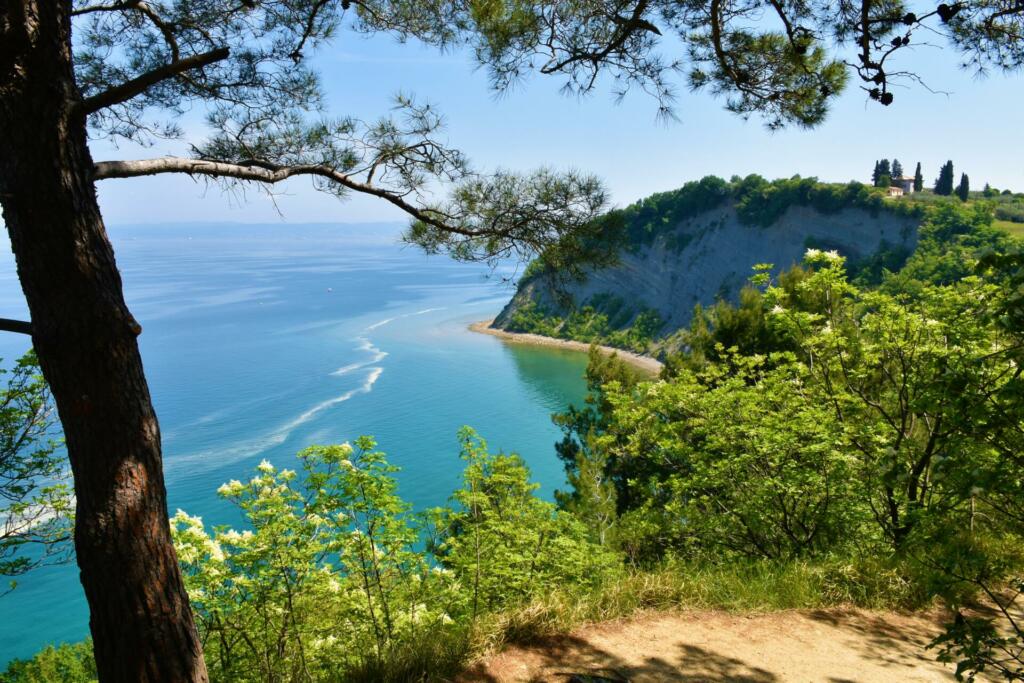 Scenic view of the Moon bay on the coast of the Adriatic sea at Strunjan in Istria, Slovenia with typical mediterranean vegetation