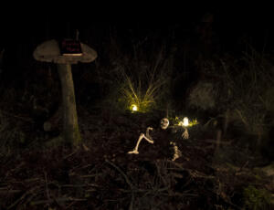 Skeleton in the cemetery.