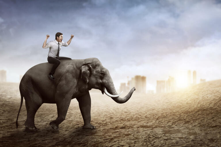 Asian business man riding elephant walking with city background