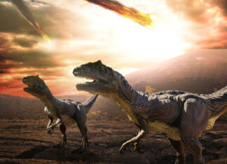 Zakaj so predniki sodobnih ptic preživeli asteroid, dinozavri pa ne? asteroid falling from the sky during dinosaurs apocalypse and extinction day