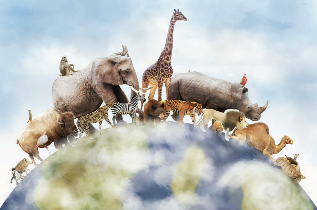 Conceptual image of wildlife around the planet earth can be used to celebrate World Animal Day