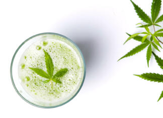 Smoothie s konopljo? Ja, prosim! 3 recepti za smutije s konopljo Green marijuana smoothie juice on white background
