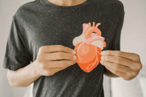 Hands holding heart anatomy, organ donor, cardiac heart cancer, health care hospital service concept