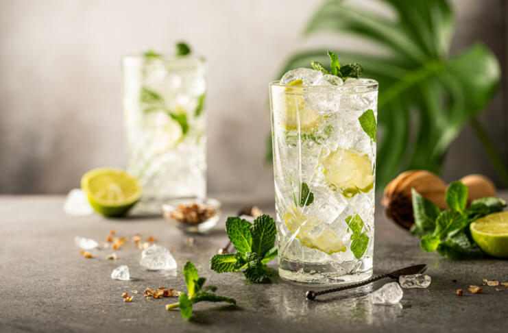 Mojito cocktail with lime and mint in highball glass on a grey background. Summer cold beverages concept with copy space