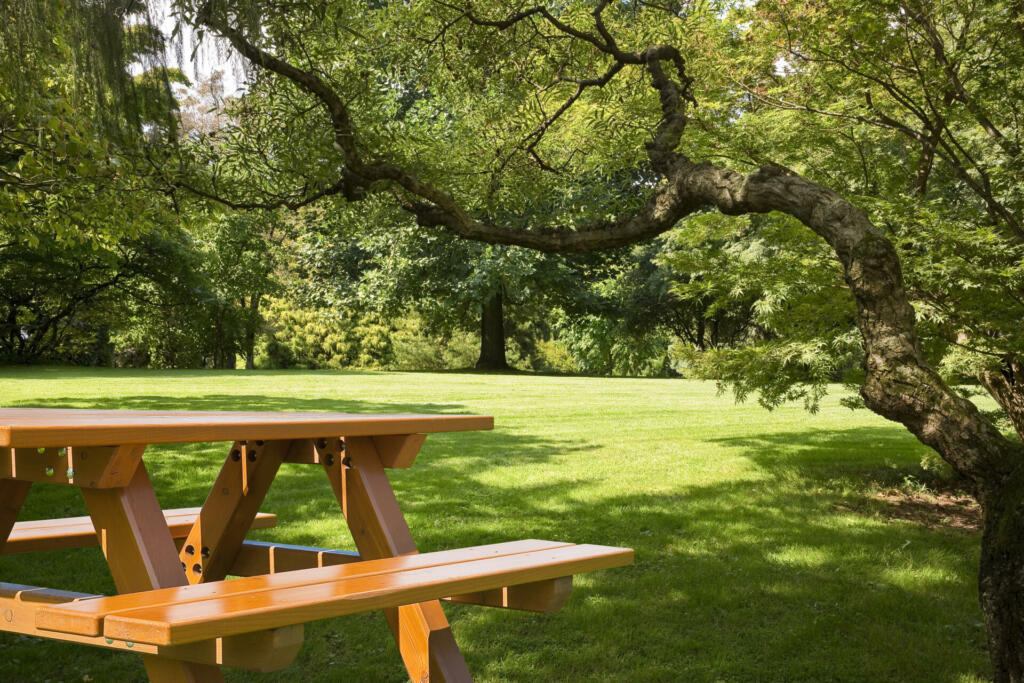 New empty pine wood picnic table on a green meadow in a public park