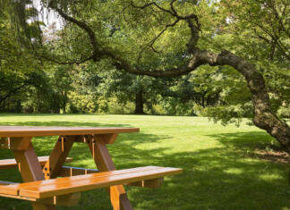 Pripravi najboljši piknik v 4 korakih New empty pine wood picnic table on a green meadow in a public park