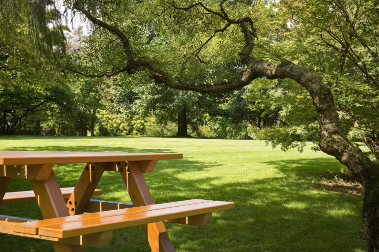 New empty pine wood picnic table on a green meadow in a public park