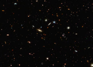 Webbov teleskop odkril kozmično mrežo z začetka vesolja To globoko galaksijsko polje iz Webbove NIRCam prikazuje razporeditev 10 oddaljenih galaksij, označenih z osmimi belimi krogi v diagonalni, nitasti črti. (Dva od krogov vsebujeta več kot eno galaksijo.) Ta 3 milijone svetlobnih let dolg žarilna nitka je zasidrana na zelo oddaljenem in svetlečem kvazarju – galaksiji z aktivno, supermasivno črno luknjo v svojem jedru. Kvazar, imenovan J0305-3150, se pojavi v sredini skupine treh krogov na desni strani slike. Njena svetlost zasenči gostiteljsko galaksijo. 10 označenih galaksij je obstajalo le 830 milijonov let po velikem poku. Ekipa verjame, da se bo žarilna nitka sčasoma razvila v ogromno jato galaksij.