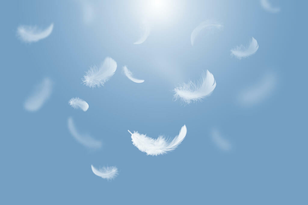 White Fluffy Feathers Floating in the Sky. Swan Feathers Flying in Heavenly.