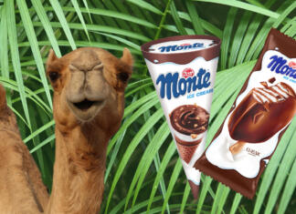 V novo šolsko leto z Monte sladoledi kfhsdjfcsj