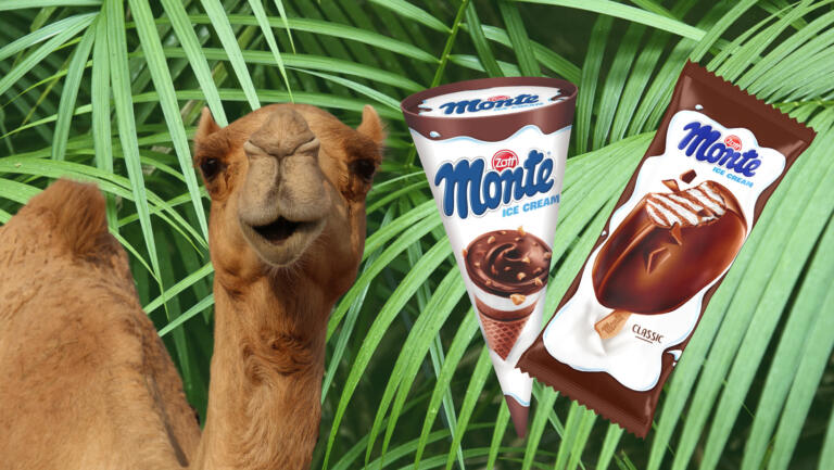 V novo šolsko leto z Monte sladoledi